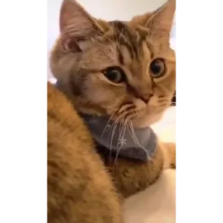☹️