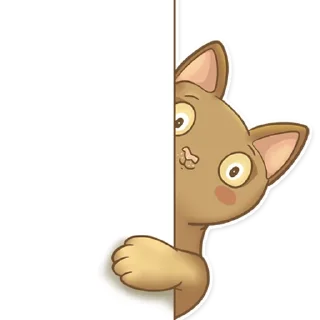 👀