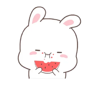 🍉