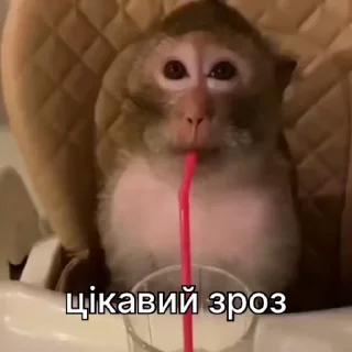 🤔