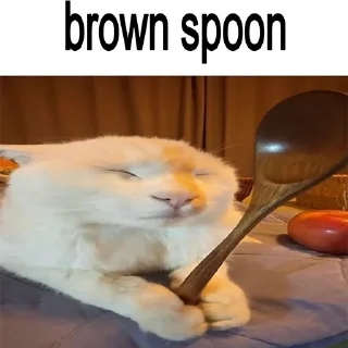 🐈