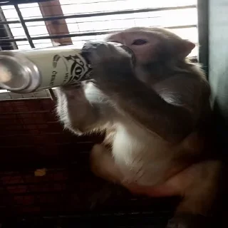 🍺