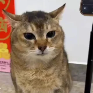🥸