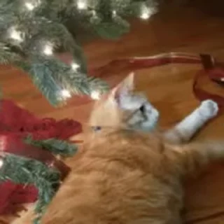 😁