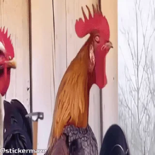⚔️