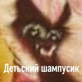 😺