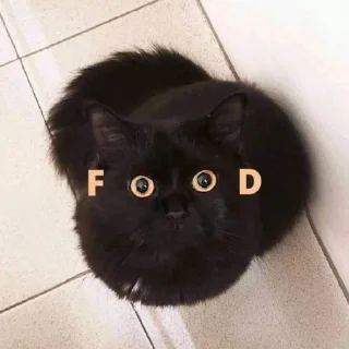 😺
