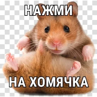🤨