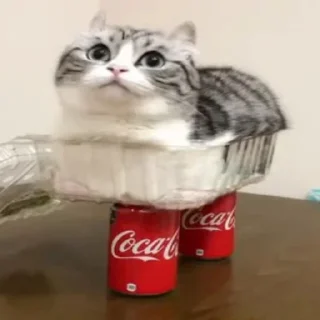 🧐