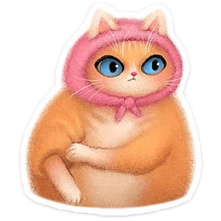 🐱