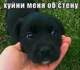 🙂