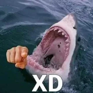 😂