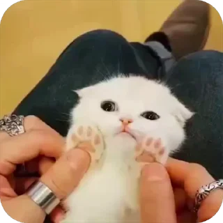 🤩