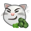 😼