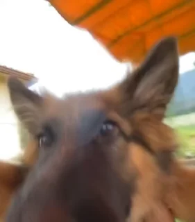 🤗