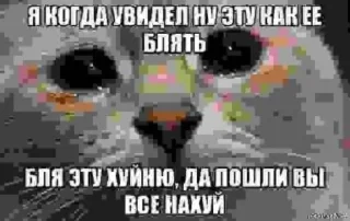 🥺