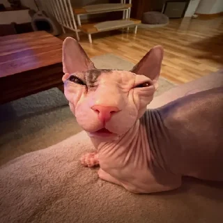 😈