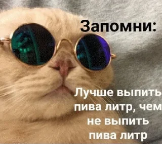 🍺