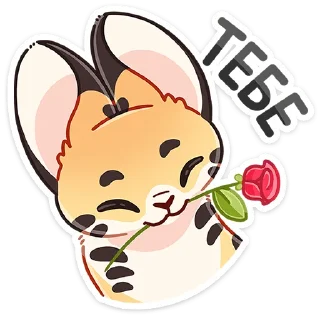 🌹