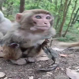 💀