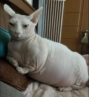 🤨