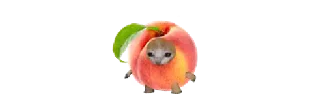 🍑