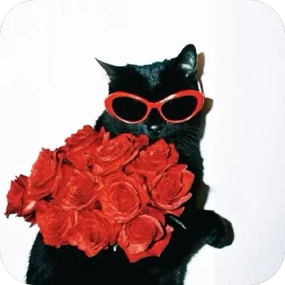 🌹