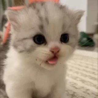 😐