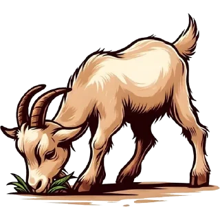 🐐