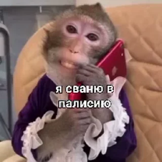 🚔