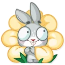 🌼