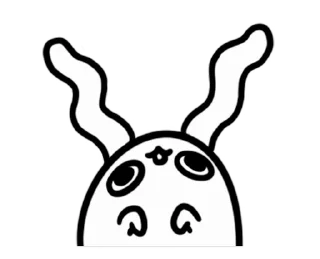 🐰