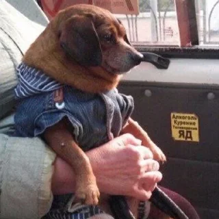 😧