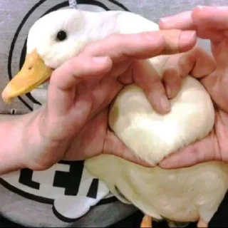 ❤
