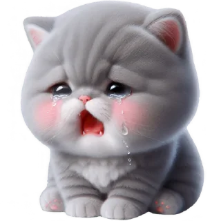 😭