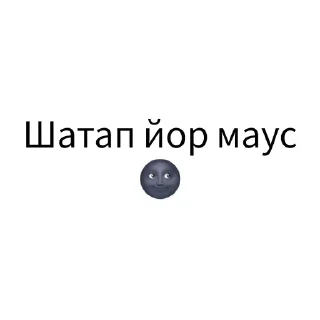🌚
