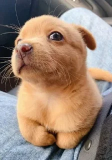 😄