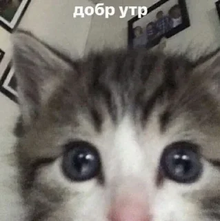 😇