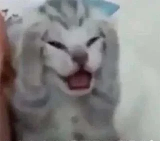🤯