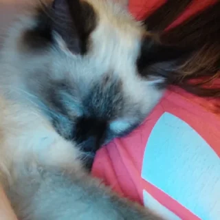 🤗