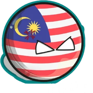 🇲🇾