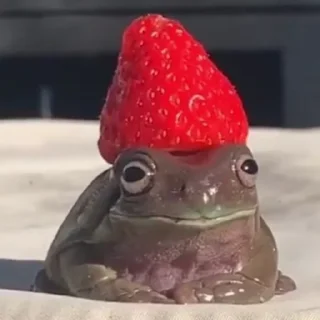 🍓