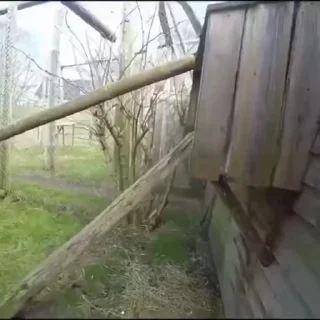 😁