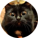 🐱