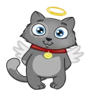 😺