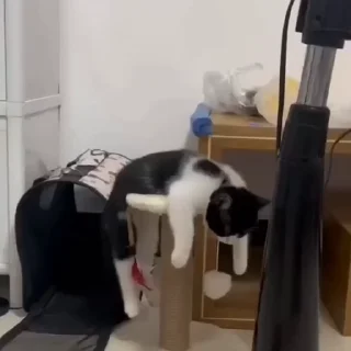 😞