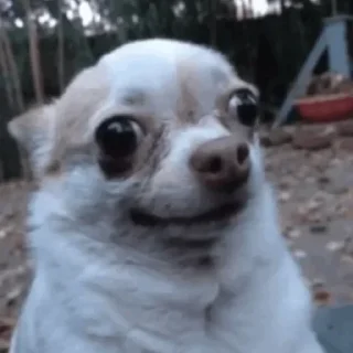 🙂
