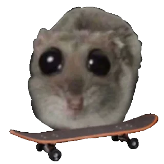 🛹