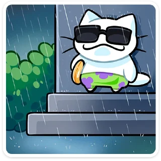 😎