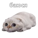 😰